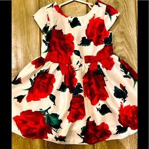 Dressed up by Gymboree Blooming Roses Dress